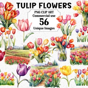 Tulpenbloemen - aquarel clipart, bloemen veld boerderij nodigt decoraties uit, digitale download commercieel gebruik transparante PNG-sublimatiebundel