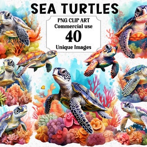 Lindas tortugas marinas acuarela océano animales clipart, artesanía digital descarga instantánea uso comercial paquete de gráficos de sublimación PNG transparente