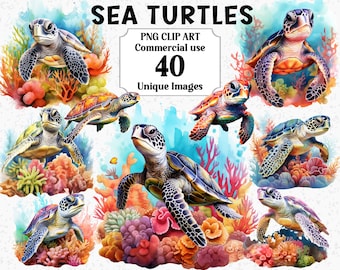 Puede incluir: Un conjunto de 40 ilustraciones digitales únicas de tortugas marinas nadando en un arrecife de coral colorido. Las ilustraciones están en un estilo de acuarela y son perfectas para usar en scrapbooking digital, creación de tarjetas y otros proyectos creativos.