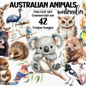 Aquarelle animaux australiens Clipart, Aussie Koala Dingo ornithorynque émeu kangourou chouette oiseaux Wombat, téléchargement immédiat, PNG sublimation Bundle