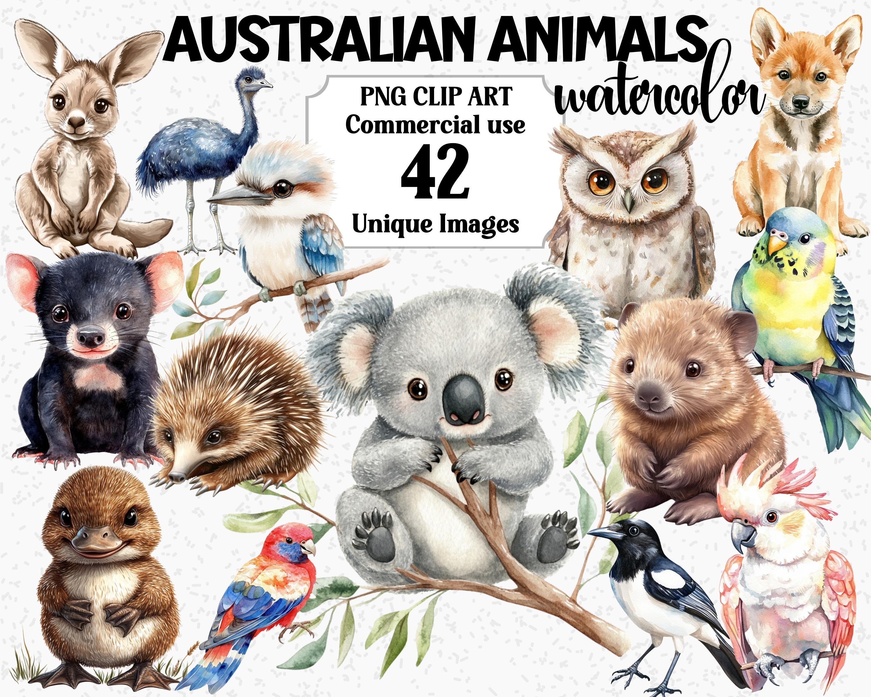 Watercolor Australian Animals Clipart, Aussie Koala Dingo Platypus Emu Kangaroo Owl Birds Wombat, Instant Download, PNG Sublimation Bundle