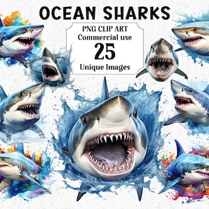 Requins de l'océan Clipart aquarelle animaux de style 3D, vie marine sous-marine, fichiers à téléchargement numérique, ensemble de graphiques à sublimation PNG Transparent