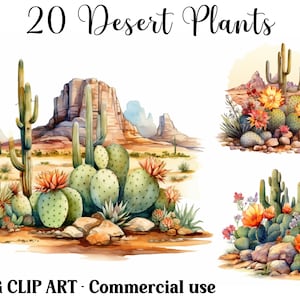 Plantes du désert aquarelle cactus Clipart scènes, créations numériques, téléchargement immédiat pays cactus paysage arrière-plans Lot de JPG commerciaux
