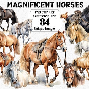 Caballos magníficos, animales salvajes en acuarela, descarga instantánea para uso comercial, paquete de sublimación PNG transparente