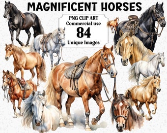 Magnificent Horses, Watercolor Wild Animals, Instant Download Commercial use, Transparent PNG Sublimation Bundle