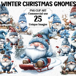 Winter kerstkabouters clipart, digitale ambachtelijke decoraties, instant download, commercieel gebruik transparante aquarel png sublimatiebundel