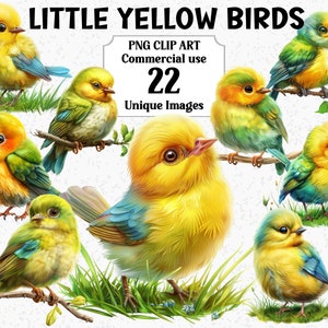 Kleine gelbe Vögel Aquarell niedliche Tiere Clipart, Digital & Papier Handwerk, sofortiger Download kommerzielle transparente PNGs Sublimation Bundle