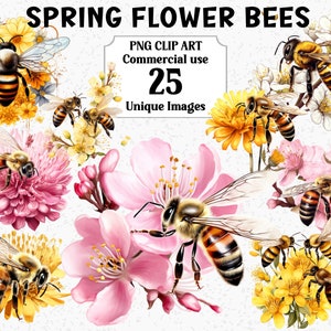 Fleurs de printemps abeilles aquarelle Clipart, créations numériques, téléchargement immédiat lot de sublimation PNG à usage commercial floral rose/jaune transparent