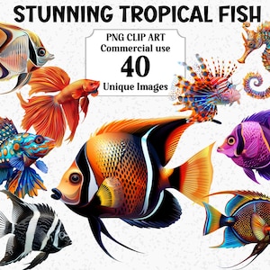 Atemberaubende tropische Fische Aquarell Clipart, Unterwasser Leben im Meer Sofort-Download kommerzielle Nutzung, transparente PNG Tiere Sublimation Bundle