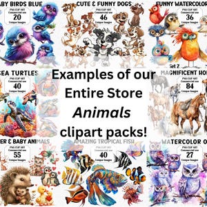 May include: Examples of our Entire Store Animals clipart packs!  The image shows nine different clipart packs featuring various animals, including baby birds, dogs, watercolor birds, sea turtles, horses, baby animals, tropical fish, and owls. Each pack includes a number of unique images.