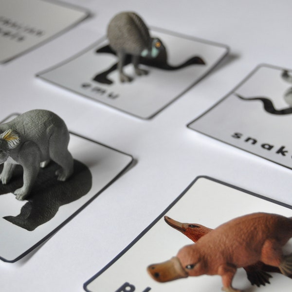 Exact Match | Wild Republic Australian Animal | Montessori Card Game