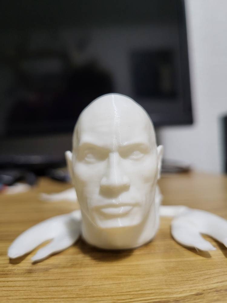 Rock Lobster Dwayne Johnson Lobster Dwayne Johnson Toy 3d Printed Rock Lobster Dwayne Johnson Lobster Dwayne Johnson Toy 3d Printed