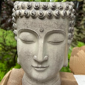 May include: A grey Buddha head planter with a succulent plant. The planter has a weathered, textured finish and detailed facial features. The plant has green, spiky leaves. The planter is sitting on a brown surface.