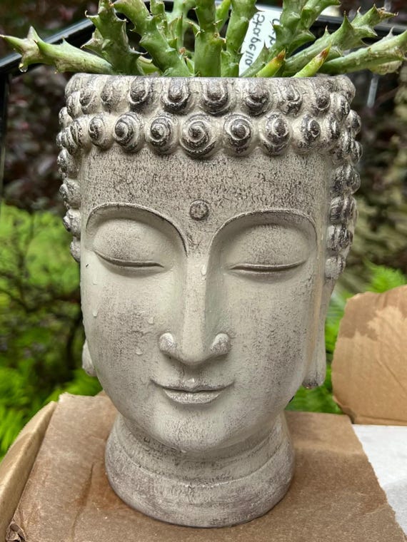 Buddha Face Flower Pot Head Planters Garden Statue Cactus Succulents Planter Pot Indoor Outdoor Planter 6.25*6.5*8.25 Resin Buddha Planter