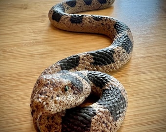 Realistic Fake Snakes Toy Soft Rubber Snake Realistic Keep Birds and Squirrels Away, Rattlesnake Toys 6 x 6 x 0.7 inches