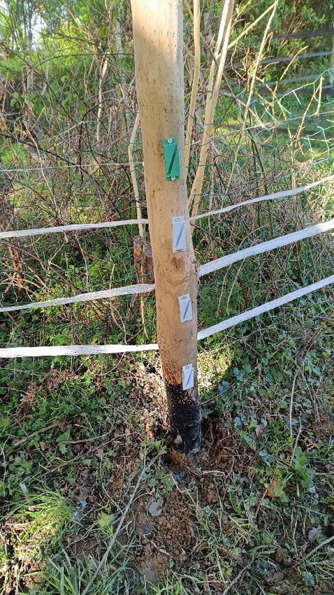 3D Printed Insulator Fencing Tape Electric Fence Ribbon EF07 Etsy