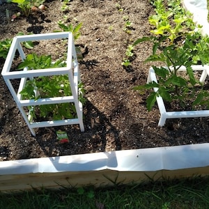 May include: Two white metal tomato cages in a raised garden bed. One cage is a three-tiered structure, while the other is a single square cage. Both cages are supporting tomato plants.