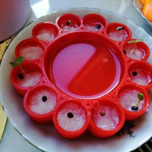 May include: A red plastic seed starting tray with 12 circular compartments, each containing a seed and growing medium. Some compartments show small sprouts. The tray sits on a white plate with a floral design, suggesting a gardening theme.