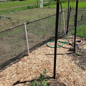 Puede incluir: Un parterre con una valla de malla negra, postes de metal verde y una estructura de tubería de PVC blanca. La cama está cubierta de astillas de madera y tiene una pequeña planta verde creciendo en primer plano. Una manguera verde está enrollada cerca.