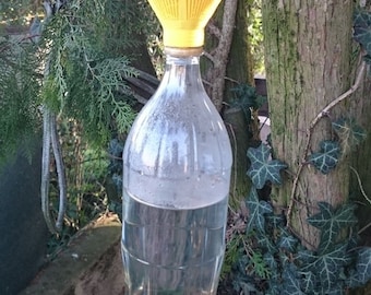 2 PCS DIY Soda Bottle Fly and Wasp Trap | Effective and Eco-Friendly Insect Control | Reusable Insect Traps | Eco-Friendly Printed Fly Traps