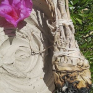 Detox Clay Mask