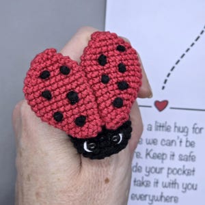 Display Cards Ladybug - PDF Ladybug pattern + PDF Pocket Hug (Printable cards) - Crochet Ladybug - Amigurumi Keychain Magnet Valentine's day