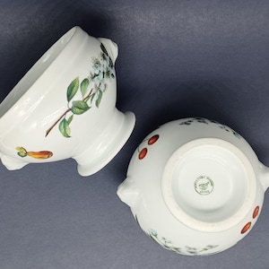 French Porcelain Soup Bowl Set with Pear and Cherry Blossom Decoration Porcellaines Avignon France