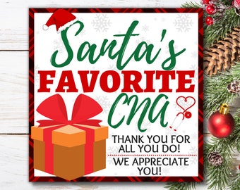 CNA Christmas Printable Gift Tags, Certified Nurse Assistant Printable Gift Tag, Nurse Assistant Gift, Nurse Assistant Appreciation