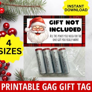 Regali divertenti per Natale, regalo divertente dell'elefante bianco, regalo non incluso, regalo divertente per la calza della Befana, regalo divertente per Babbo Natale segreto, regalo divertente per adulti, adolescenti