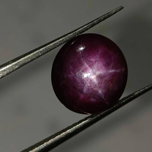 May include: A deep purple star ruby gemstone with a cabochon cut. The stone is held in a pair of tweezers.