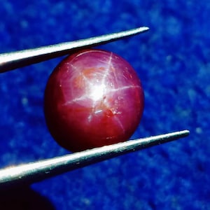 May include: A deep red star ruby gemstone with a six-pointed star in the center. The ruby is round and is held by a pair of tweezers.