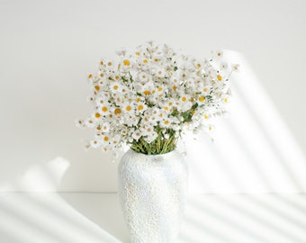 Natural Dried Flower White Daisy Bouquet for Home Decoration Gift for Her, The Cottage Collection For Home Decor, Hotel Deoc