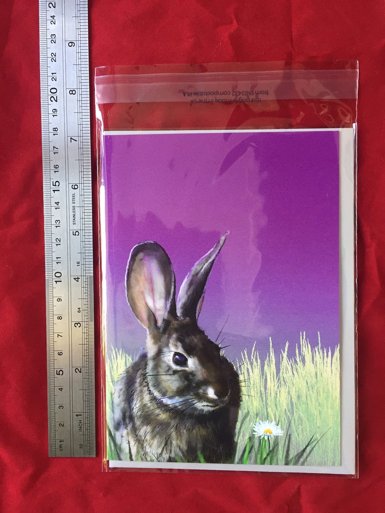 Rabbit on Pink hand drawn digital 5x7 Greetings card blank inside image 7