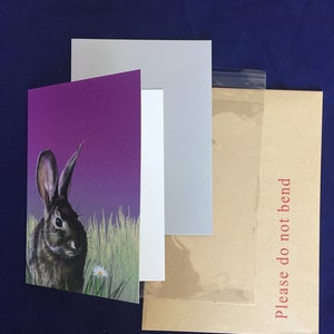 Rabbit on Pink hand drawn digital 5x7 Greetings card blank inside image 6
