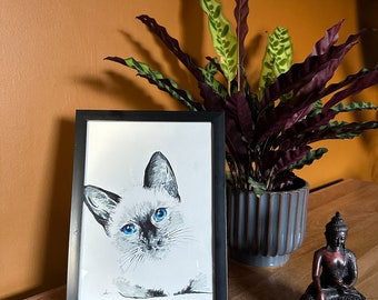 Original Pen and Ink drawing. Entirely hand drawn, A4 framed,  Siamese cat original artwork.