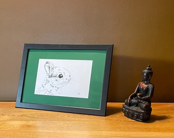 Baby Bunny Rabbit illustration, Rotring pen. Not a print, A4 framed, original artwork.