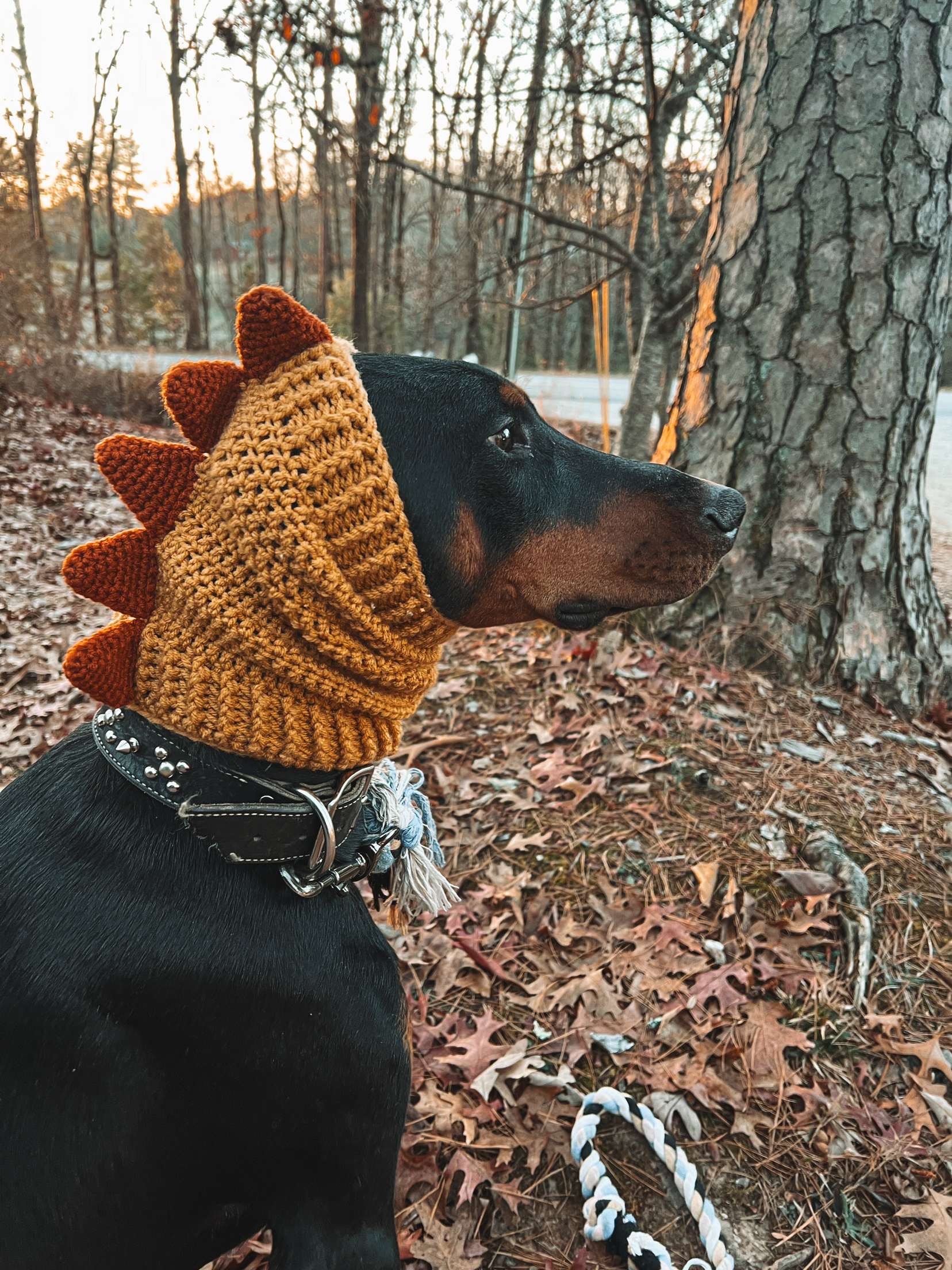 Dinosaur Dog Snood - Etsy