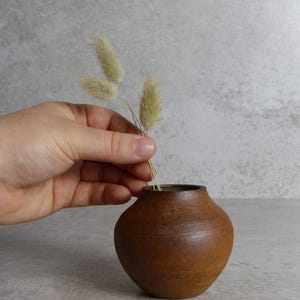 May include: A small, brown ceramic vase with a rounded body and a narrow opening. The vase contains three sprigs of dried, fluffy, light green grass. The vase is held by a hand.