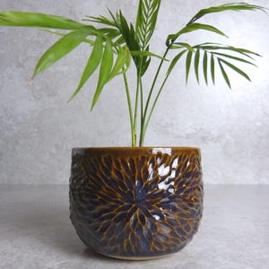 May include: A small green plant with long, slender leaves in a brown and blue ceramic pot. The pot has a textured, floral-like pattern. The plant is centered in the pot, and the background is a neutral grey.
