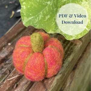 Needle Felted Pumpkin PDF Download and Video Tutorial