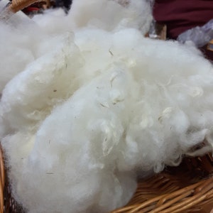 Suffolk mule washed fleece for spinning or felting 50g