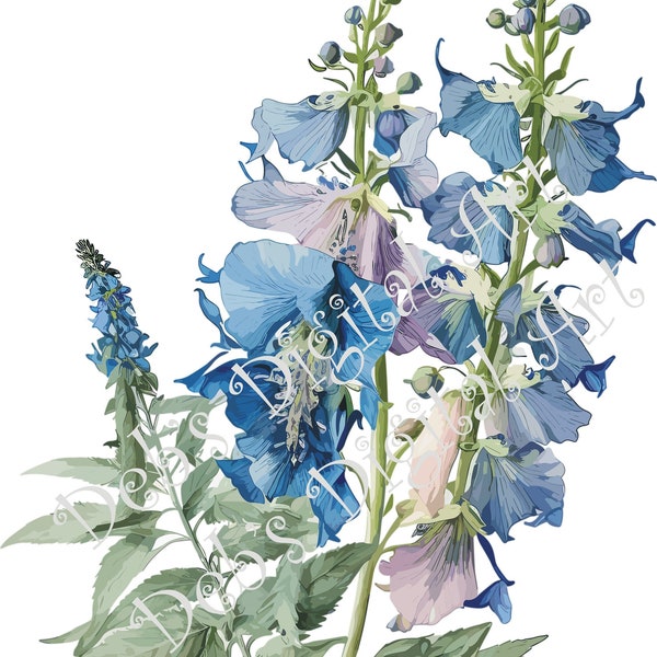 Watercolor botanical Delphinium Blue flower plant digital clipart, vector, png. jpg, jpeg, svg wall art, graphic