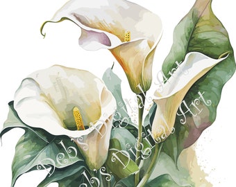 Watercolor botanical Calla Lilies White flowers digital clipart, vector, png. jpg, jpeg, svg wall art, graphic