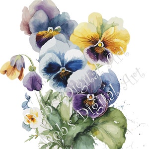 Watercolor botanical Pansies flower plant digital clipart, vector, png. jpg, jpeg, svg wall art, graphic