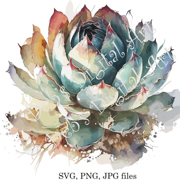 Watercolor botanical Peyote Succulent burgundy green flower plant digital clipart, vector, png. jpg, jpeg, svg wall art, graphic