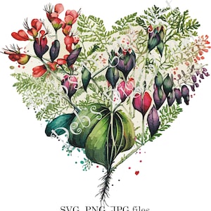 Watercolor botanical Bleeding Heart love lies bleeding flower plant digital clipart, vector, png. jpg, jpeg, svg wall art, graphic