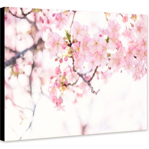 Flor de cerezo - Flor rosa - Lienzo enmarcado y enrollado - Impresión fotográfica/póster