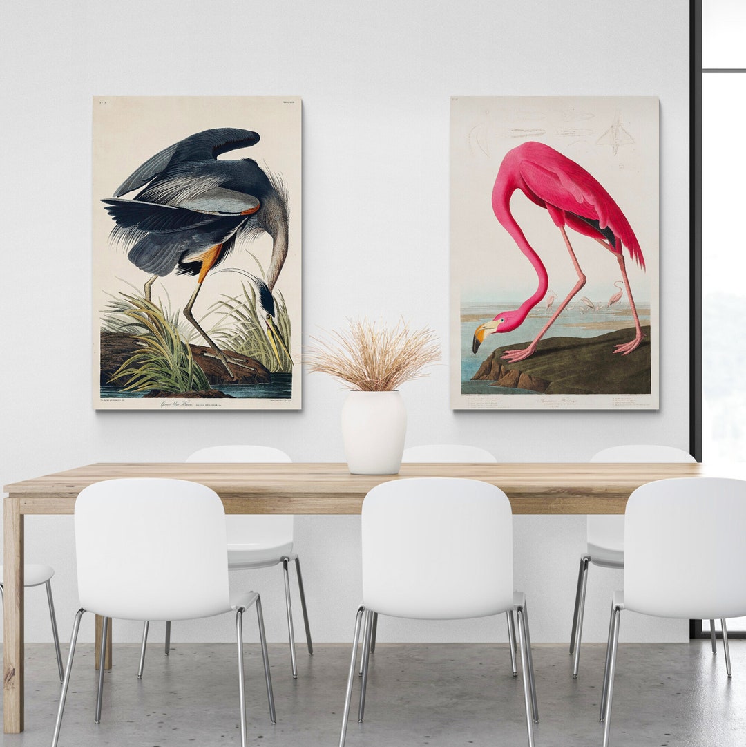 Audubon Bird Prints Set – Flamingo and Heron, Framed or Rolled Canvas ...
