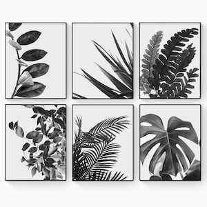 Botanical Wall Art Monochrome - Natural Plant Leaves - Home Decor - Set Of 6 Unframed | Rolled Prints|Canvas - Aesthetic Art - Modern Art