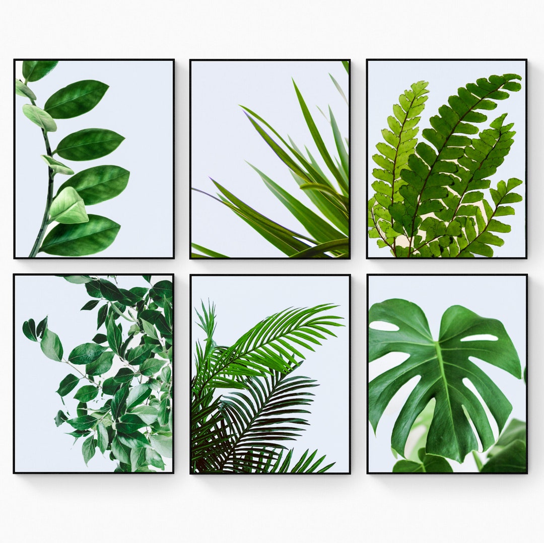 Botanical Wall Art Set – Tropical Leaves Rolled Canvas Prints - Etsy